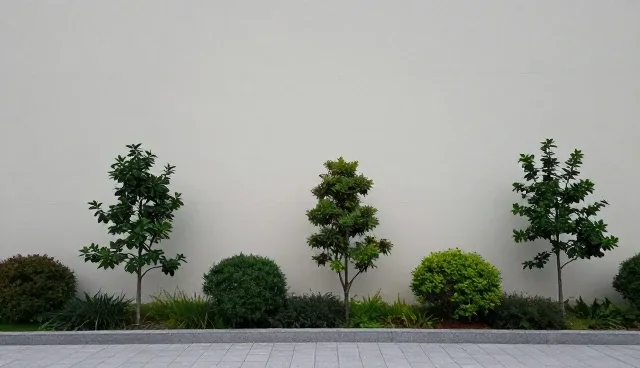 应用开发中如何科学选择依据